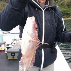 海晴丸 釣果