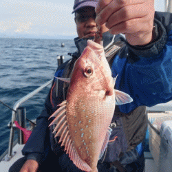 遊漁船ブルーウッズ 釣果