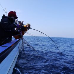 松鶴丸 釣果