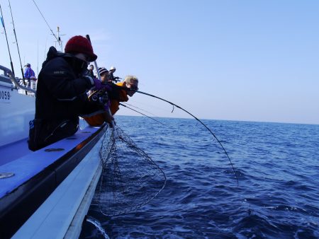 松鶴丸 釣果