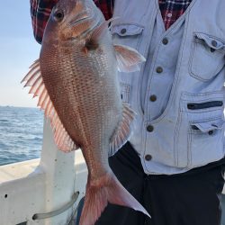 リトルワン 釣果