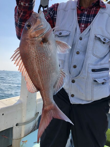 リトルワン 釣果