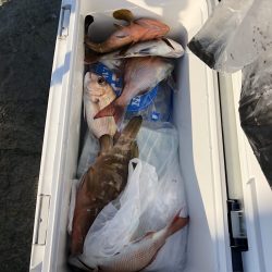 リトルワン 釣果