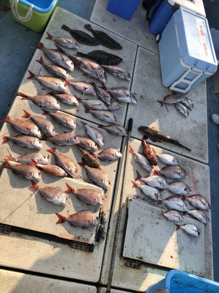 リトルワン 釣果