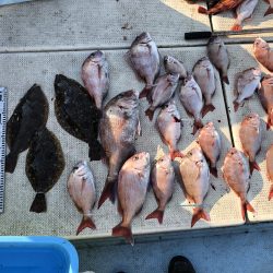 リトルワン 釣果