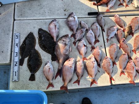 リトルワン 釣果