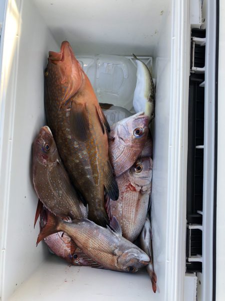 リトルワン 釣果