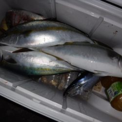 BlueNote Fishing Taxi 釣果