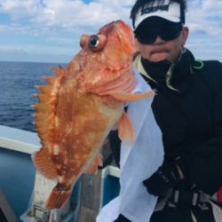 シーモンキー 釣果