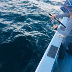 シーモンキー 釣果