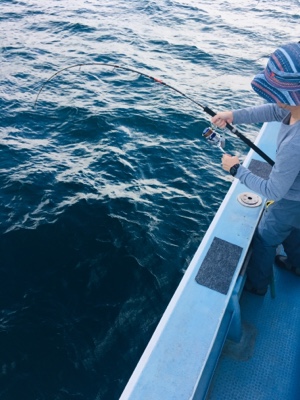 シーモンキー 釣果