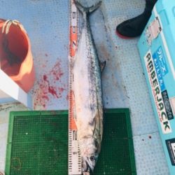 シーモンキー 釣果