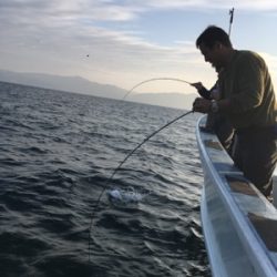 シーモンキー 釣果