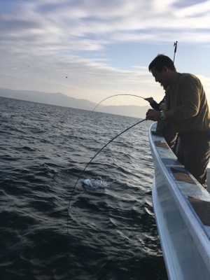 シーモンキー 釣果