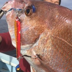 シーモンキー 釣果