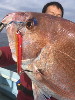 シーモンキー 釣果