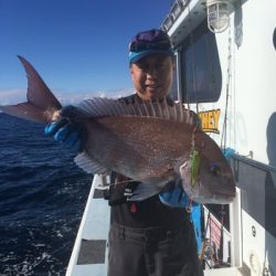 シーモンキー 釣果