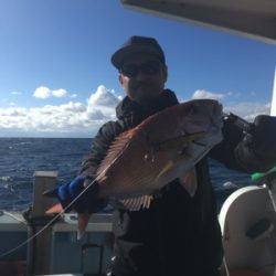 シーモンキー 釣果