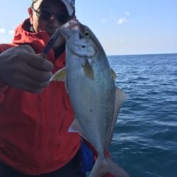 シーモンキー 釣果