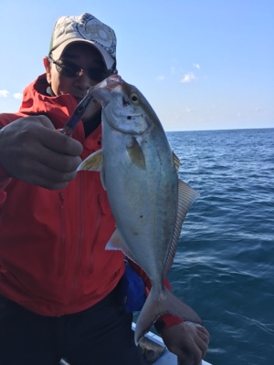 シーモンキー 釣果