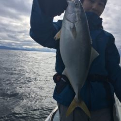 シーモンキー 釣果