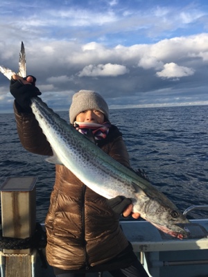 シーモンキー 釣果