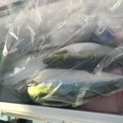 シーモンキー 釣果