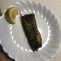 たいし丸 釣果
