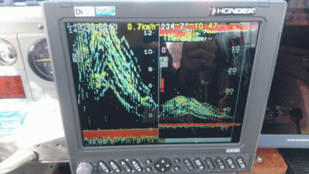 遊漁船ブルーウッズ 釣果