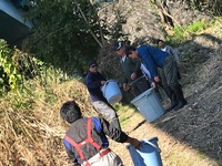 秩父フライフィールド 釣果