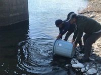秩父フライフィールド 釣果
