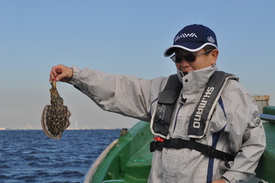 根岸丸 釣果