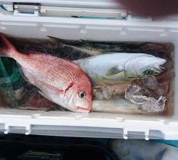 はじめ丸 釣果