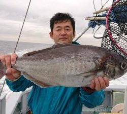 かねい丸 釣果