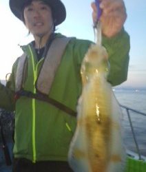 シースナイパー海龍 釣果