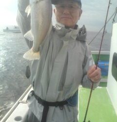 金沢八景鴨下丸 釣果