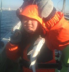 金沢八景鴨下丸 釣果