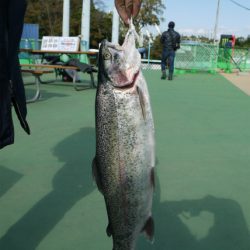 としまえんフィッシングエリア 釣果