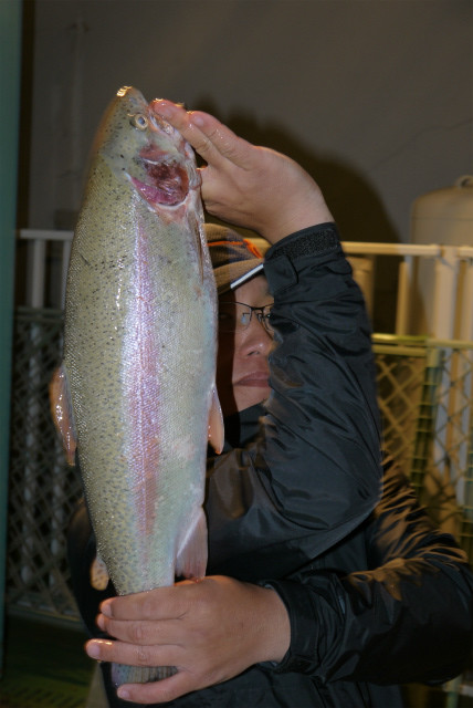としまえんフィッシングエリア 釣果