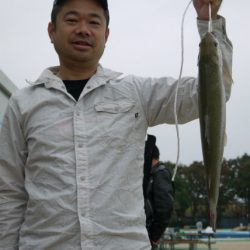 としまえんフィッシングエリア 釣果