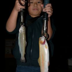 としまえんフィッシングエリア 釣果