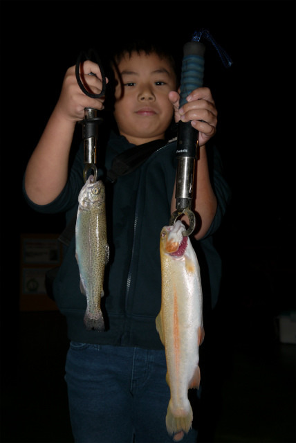 としまえんフィッシングエリア 釣果