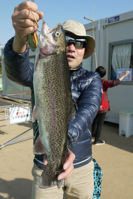 としまえんフィッシングエリア 釣果