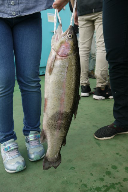 としまえんフィッシングエリア 釣果