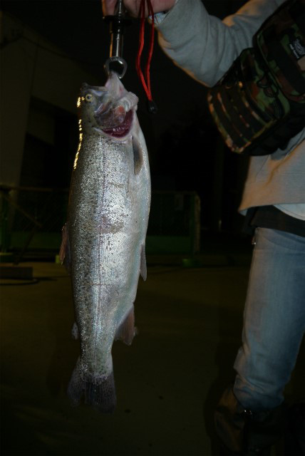 としまえんフィッシングエリア 釣果