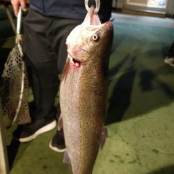 としまえんフィッシングエリア 釣果