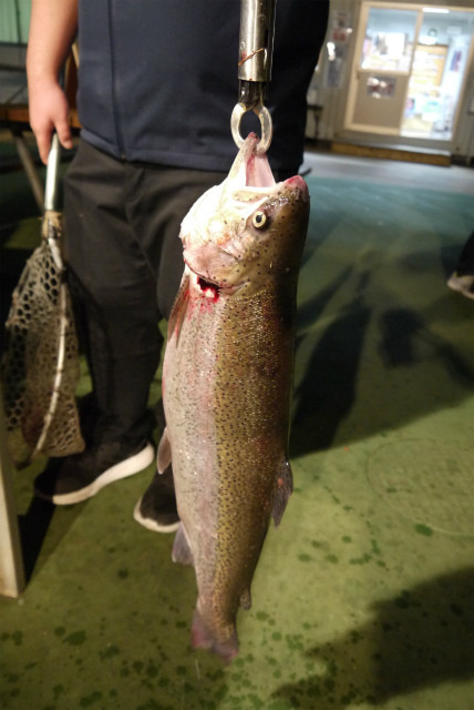 としまえんフィッシングエリア 釣果