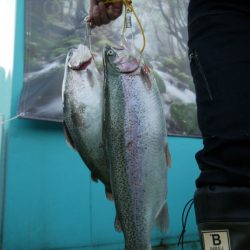 としまえんフィッシングエリア 釣果