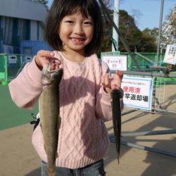 としまえんフィッシングエリア 釣果
