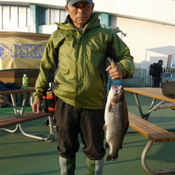 としまえんフィッシングエリア 釣果